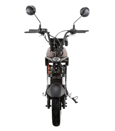 E-Roller 'E-Nomad', 25 km/h, 45 km/h, speziell für Camper und Pendler - Image 8